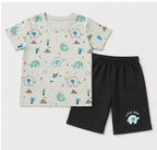 Product Name: Boys’ Teal Elephant Print T-Shirt & Deep Green Shorts Set